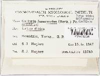 Image Associated With the Occurrence