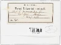 Image Associated With the Occurrence