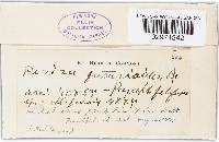 Image Associated With the Occurrence