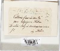 Image Associated With the Occurrence