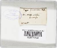 Image Associated With the Occurrence