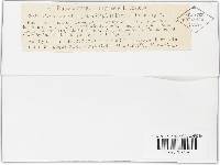 Image Associated With the Occurrence