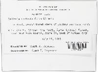 Image Associated With the Occurrence