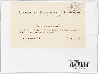 Image Associated With the Occurrence