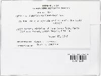 Image Associated With the Occurrence