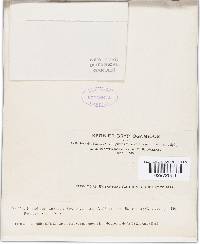 Image Associated With the Occurrence