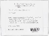 Propolis farinosa image