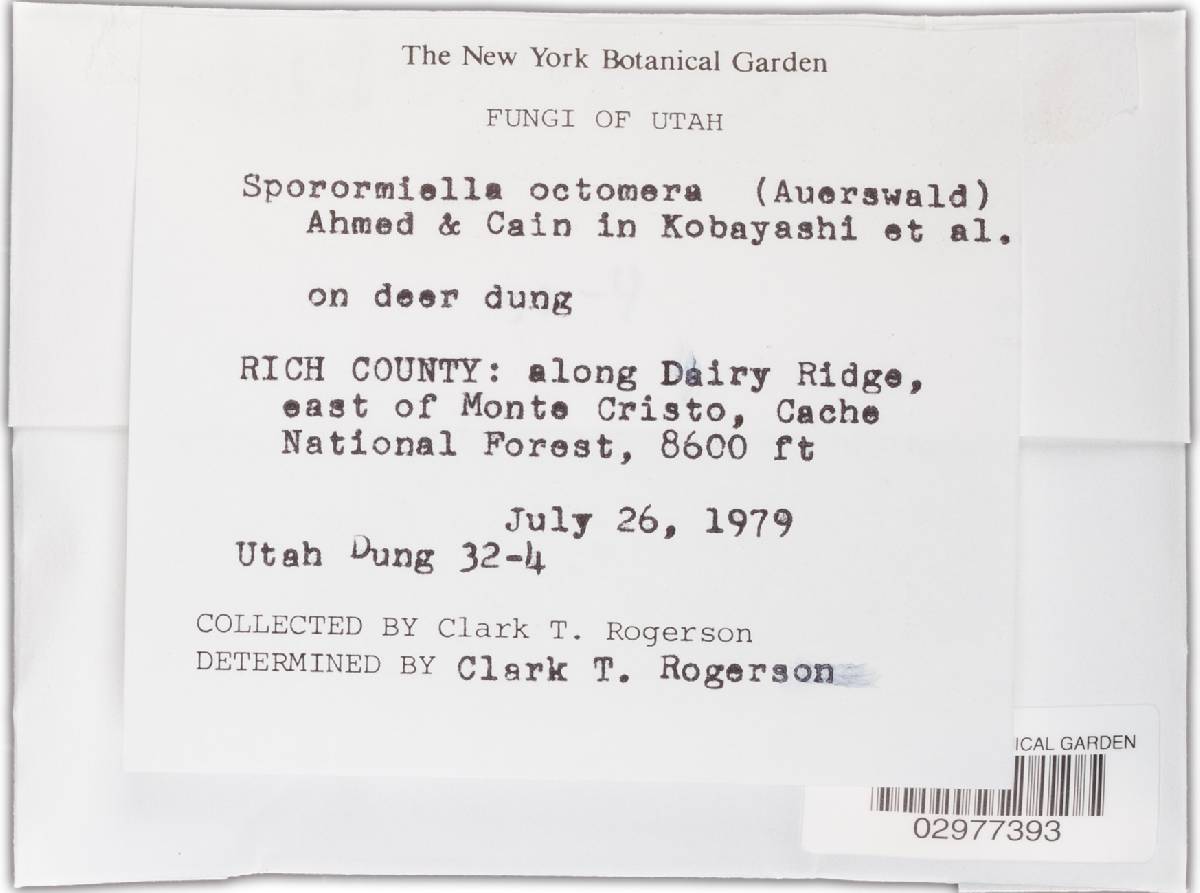 Sporormiella octomera image