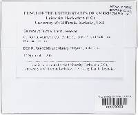 Image Associated With the Occurrence