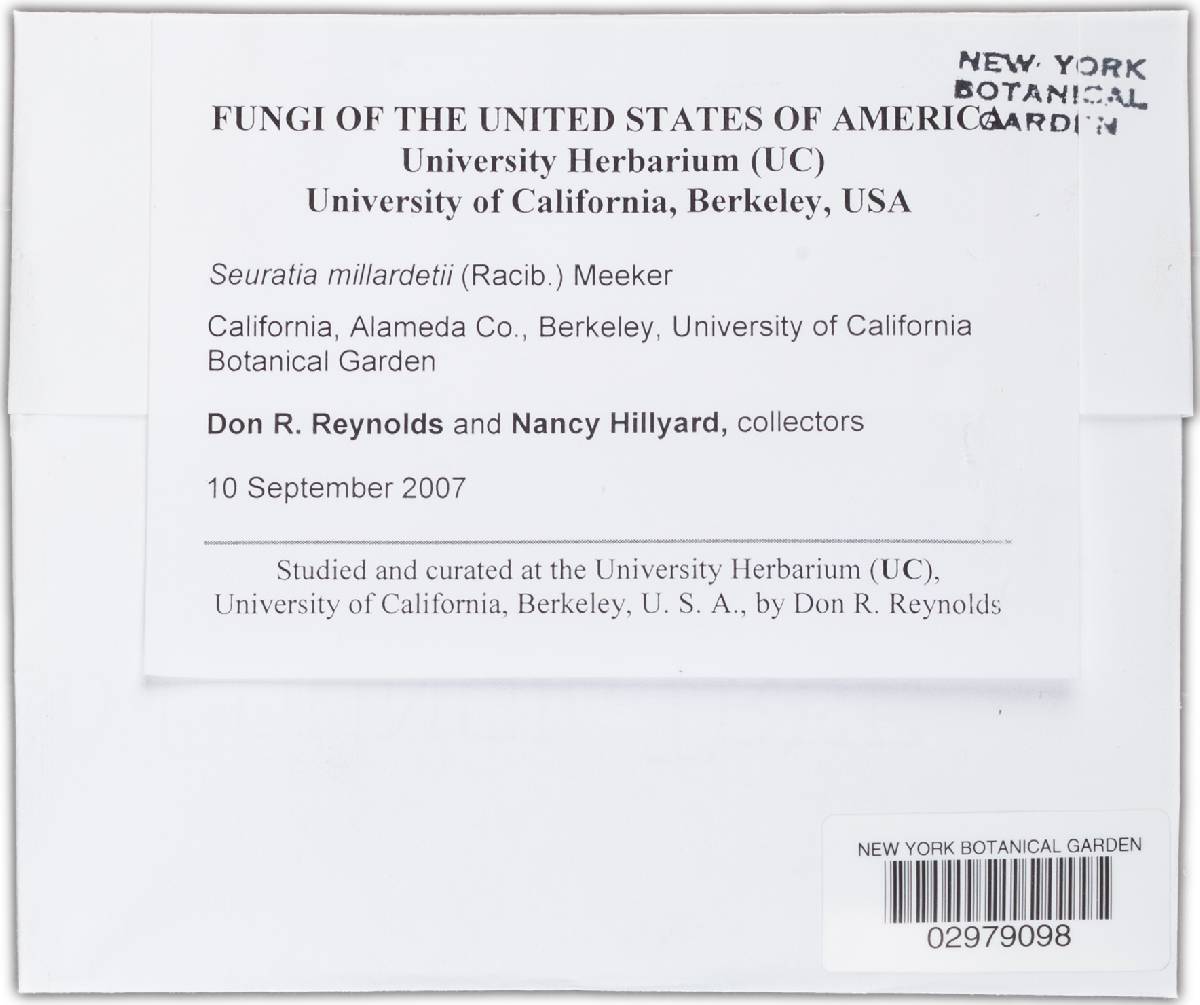 Seuratia millardetii image