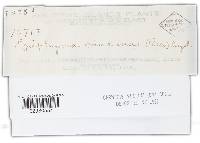 Epiphyma mucunae image