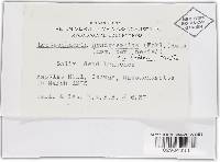 Thumbnail image of current specimen