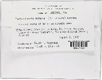 Image Associated With the Occurrence