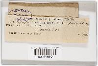 Image Associated With the Occurrence