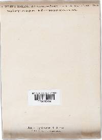 Leptosphaeria nigrans image