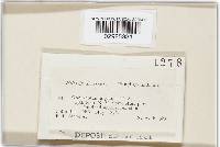 Image Associated With the Occurrence