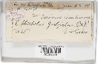 Image Associated With the Occurrence