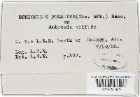 Image Associated With the Occurrence