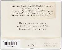 Image Associated With the Occurrence