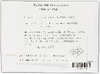 Image Associated With the Occurrence