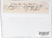 Thumbnail image of current specimen