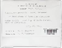 Image Associated With the Occurrence