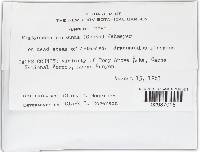 Image Associated With the Occurrence