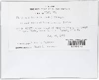 Image Associated With the Occurrence