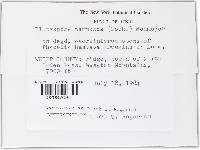 Image Associated With the Occurrence