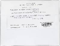 Image Associated With the Occurrence