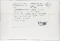 Thumbnail image of current specimen