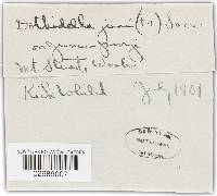 Image Associated With the Occurrence