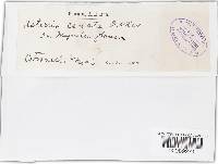 Image Associated With the Occurrence