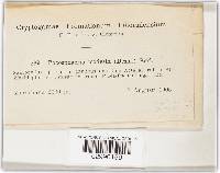 Image Associated With the Occurrence