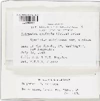 Image Associated With the Occurrence