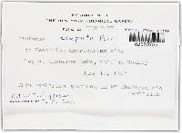 Image Associated With the Occurrence