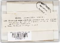 Image Associated With the Occurrence