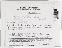 Image Associated With the Occurrence