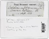 Image Associated With the Occurrence