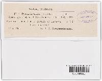 Image Associated With the Occurrence