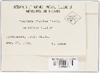 Image Associated With the Occurrence