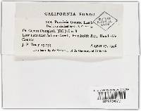 Image Associated With the Occurrence