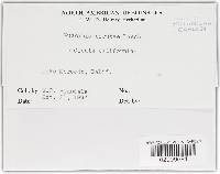 Image Associated With the Occurrence