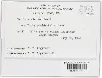 Image Associated With the Occurrence