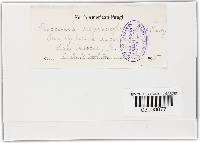 Image Associated With the Occurrence