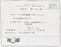 Image Associated With the Occurrence