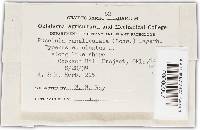 Image Associated With the Occurrence