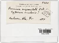 Image Associated With the Occurrence