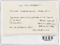 Image Associated With the Occurrence