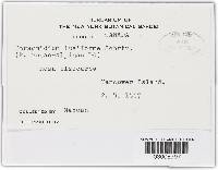 Image Associated With the Occurrence